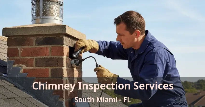 Chimney Inspection Services South Miami - FL