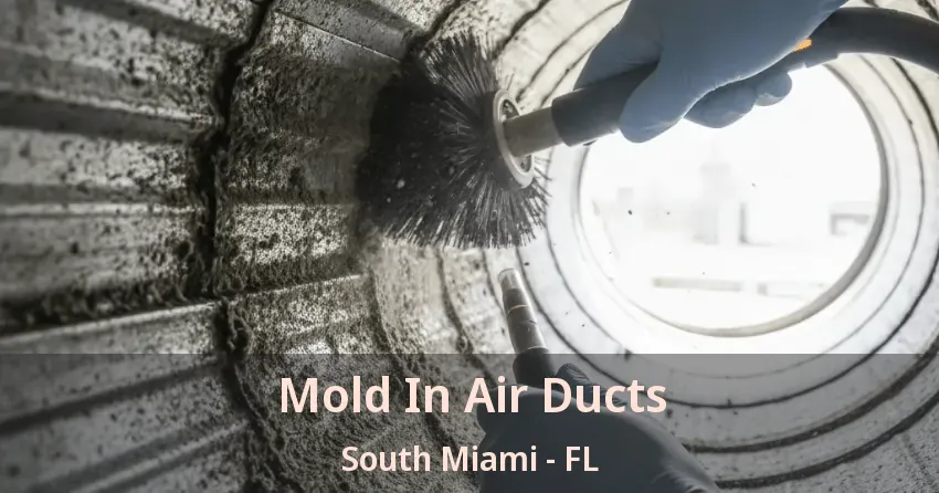 Mold In Air Ducts South Miami - FL