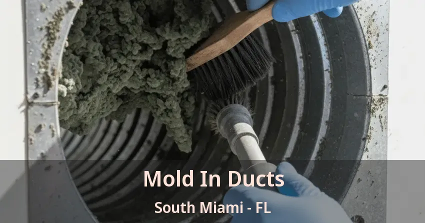 Mold In Ducts South Miami - FL