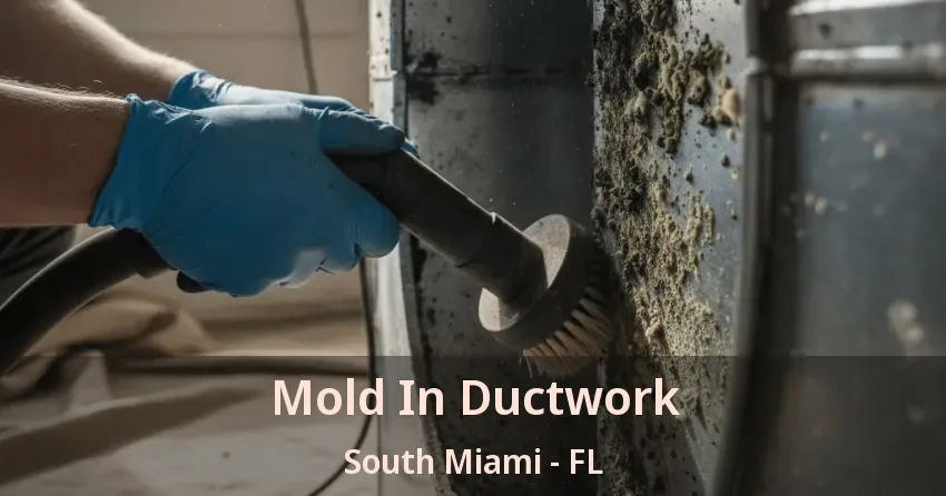 Mold In Ductwork South Miami - FL Mold In Ductwork South Miami - FL
